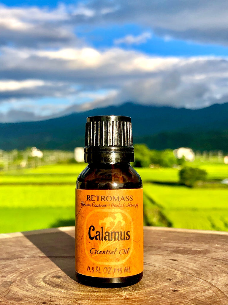 Calamus Essential Oil by Retromass