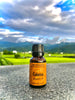 Calamus Essential Oil by Retromass