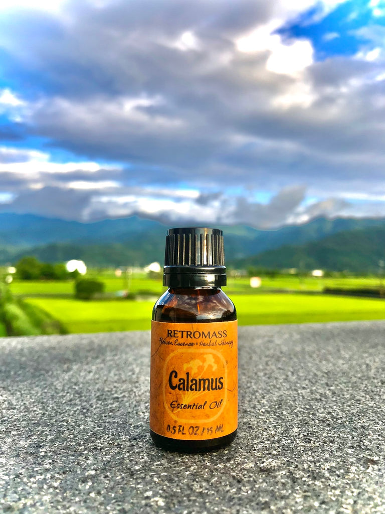 Calamus Essential Oil by Retromass