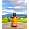 Calamus Essential Oil by Retromass