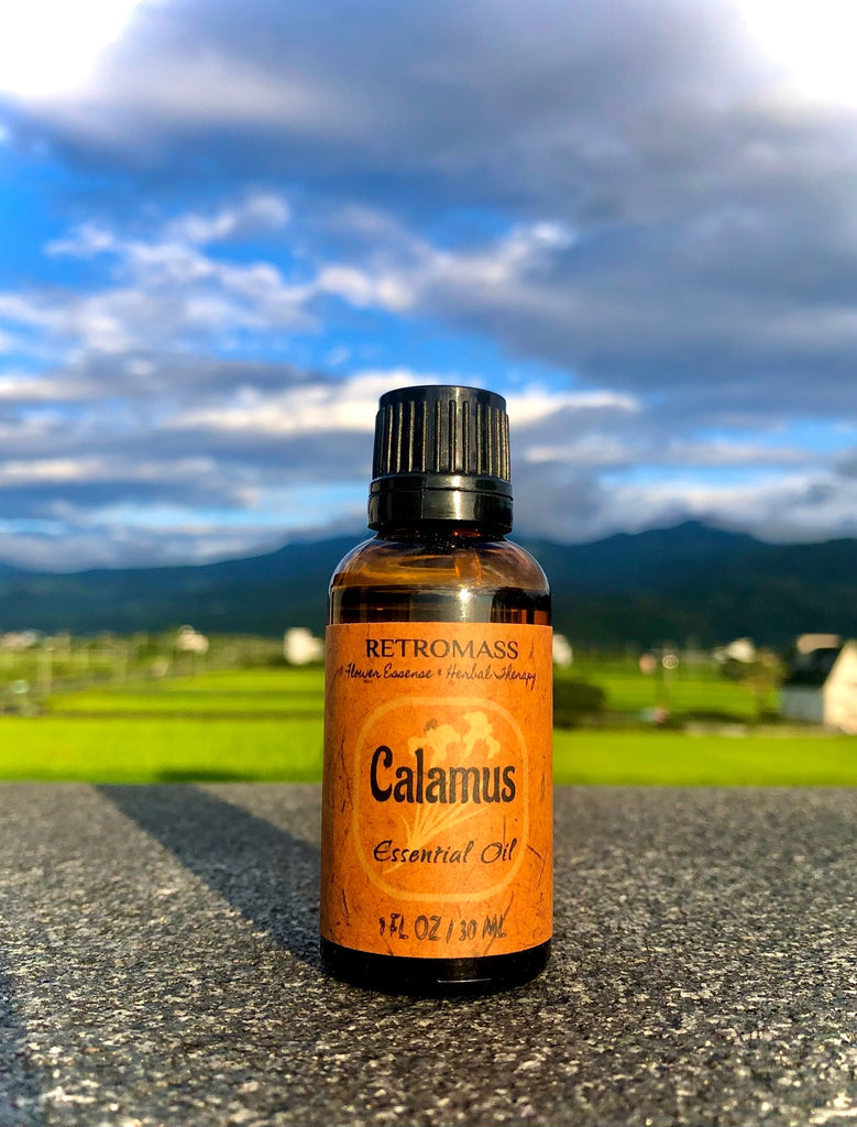 Calamus Essential Oil by Retromass