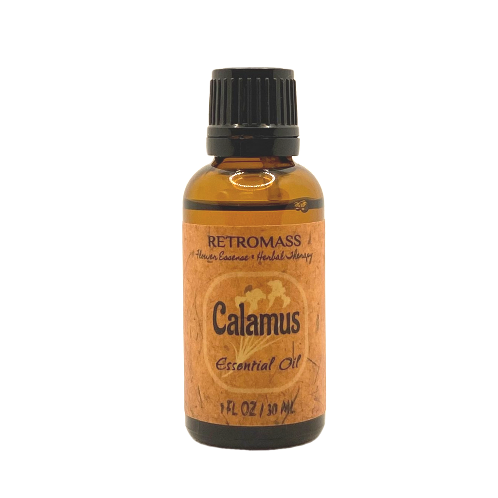 Calamus Essential Oil by Retromass
