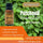 Patchouli Essential Oil by Retromass