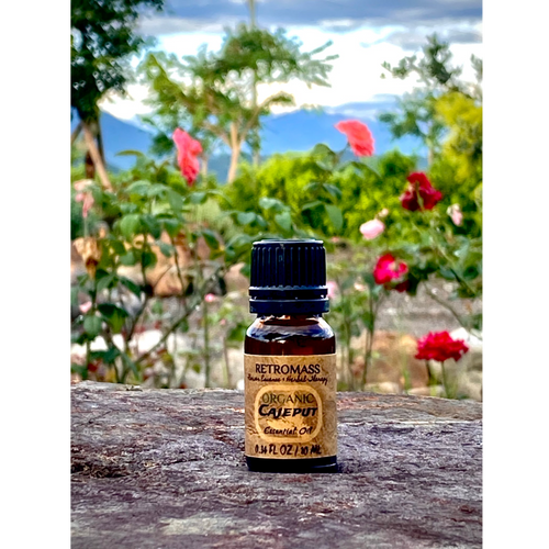 Cajeput Essential Oil 10ml Certified Organic by Retromass