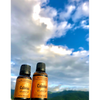 Calamus Essential Oil by Retromass