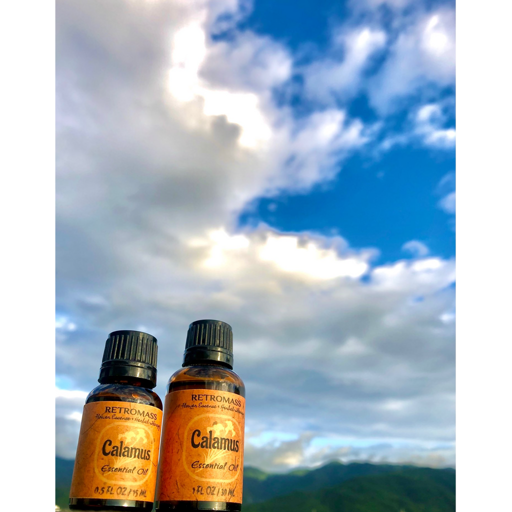 Calamus Essential Oil by Retromass